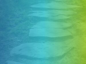 Fix je project – Alleen de basis